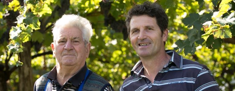 STEFLHOF - Strada del Vino - #1 - suedtirol.info