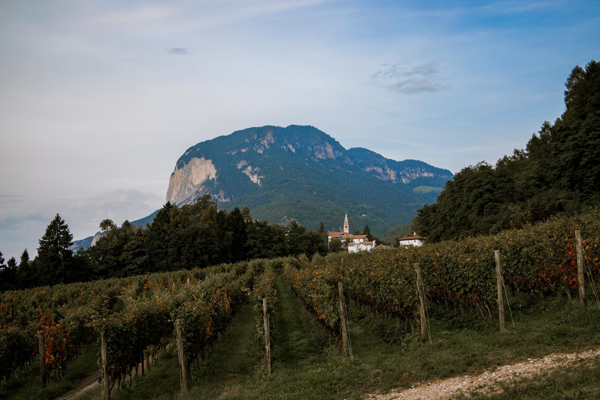 Steinhaus - Alto Adige Wine Road - #1 - suedtirol.info