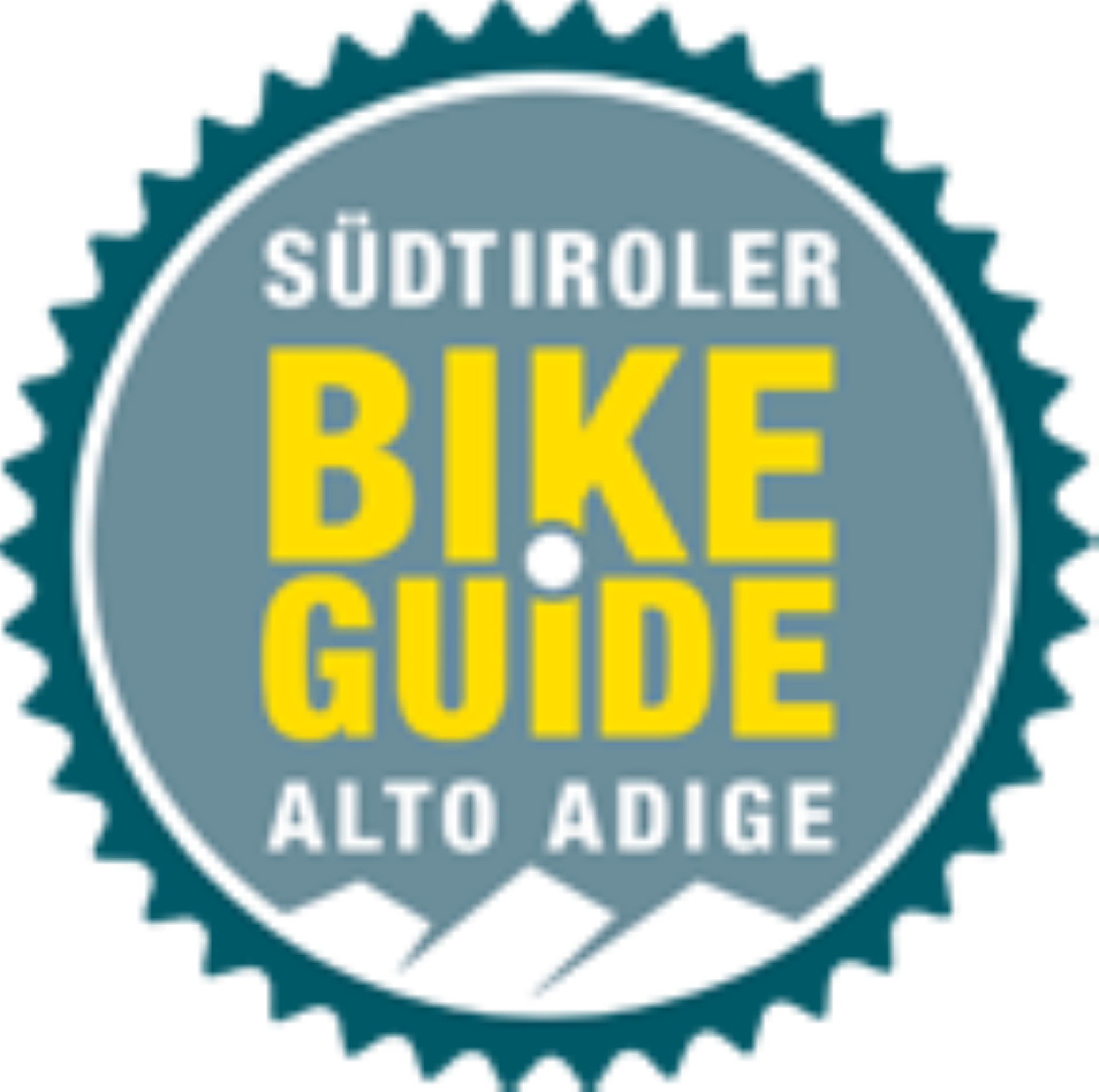 Ski instructor & bike guide