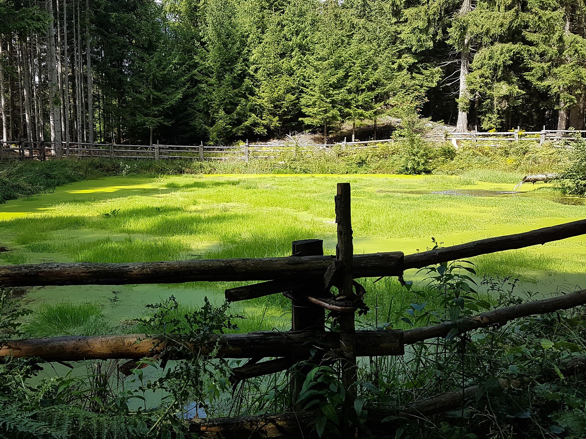 Seabl Lack - Bozen und Umgebung - #1 - suedtirol.info