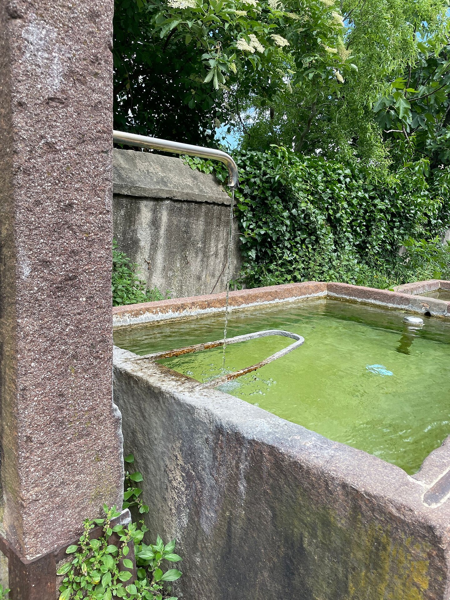 Fountain Lahnbauer