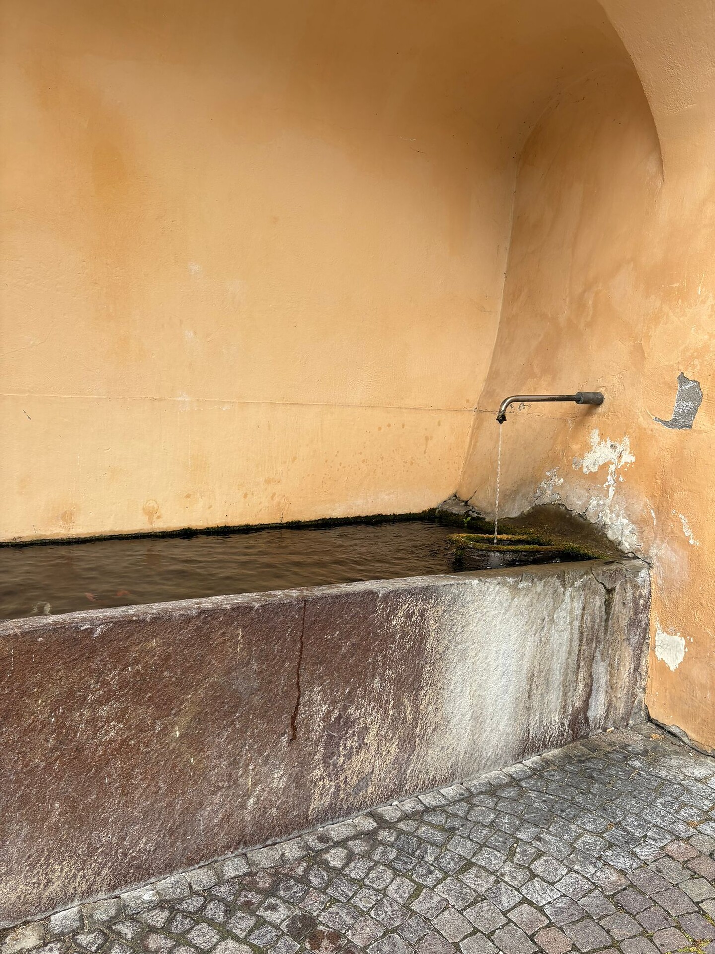Fontana