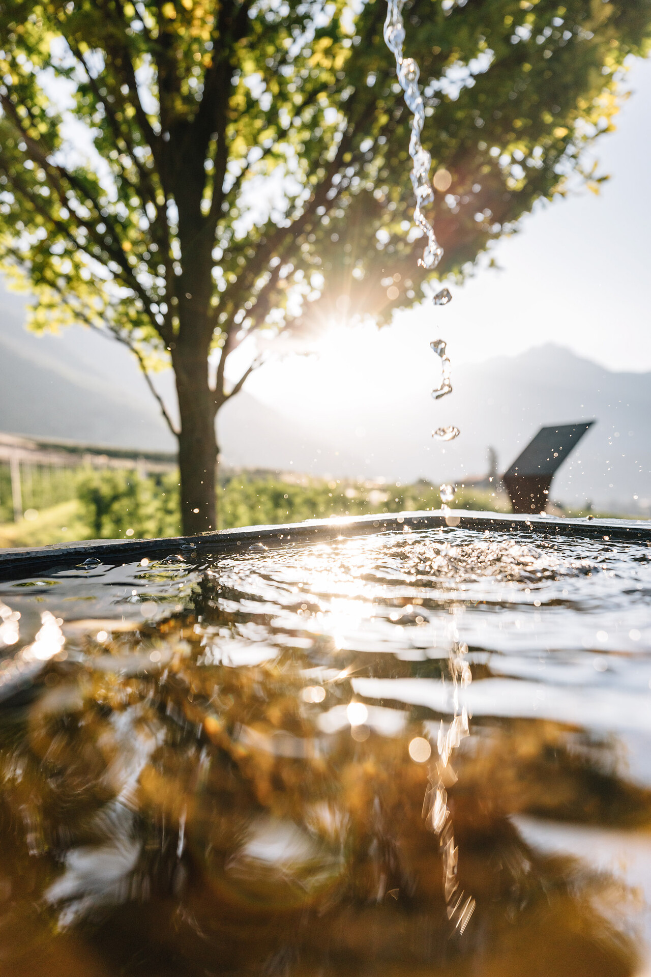 Drinking fountain bike path, Thronsessel Algund - Meran/Merano and environs - #1 - suedtirol.info