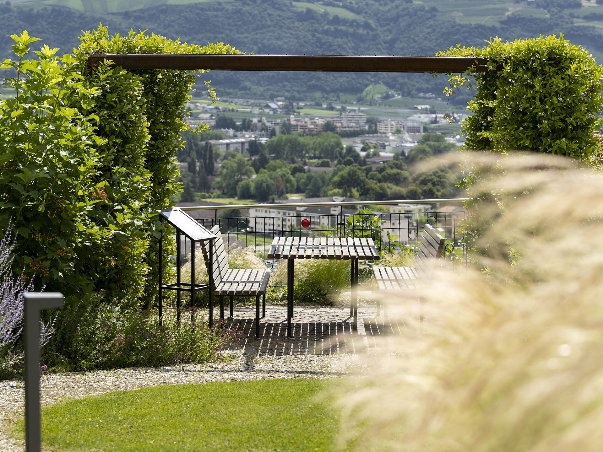 Parco Traubenwirt