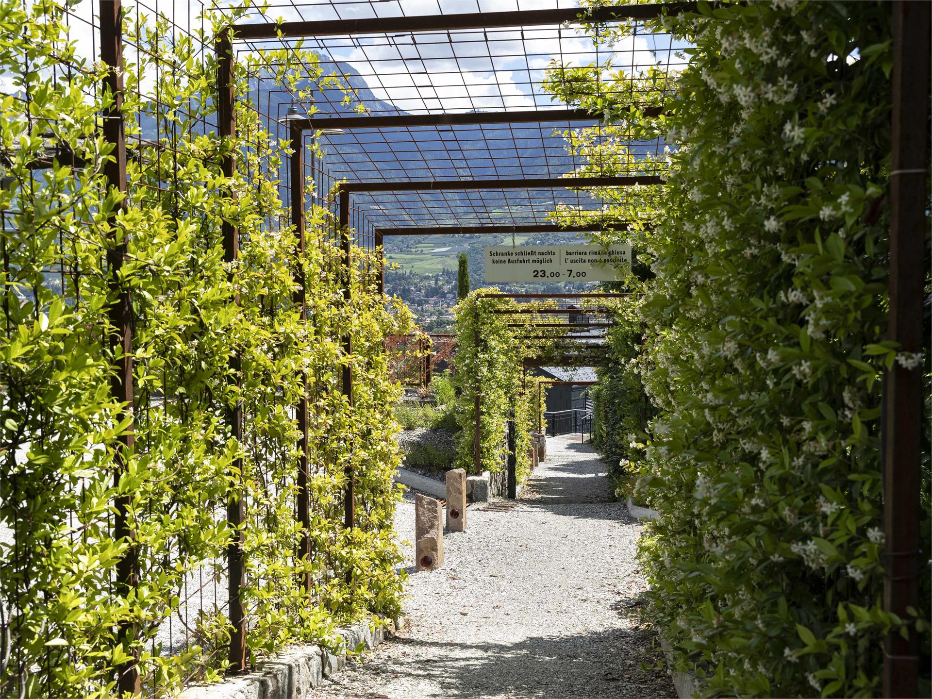 Parco sotto il ristorante Traubenwirt Marlengo 3 suedtirol.info