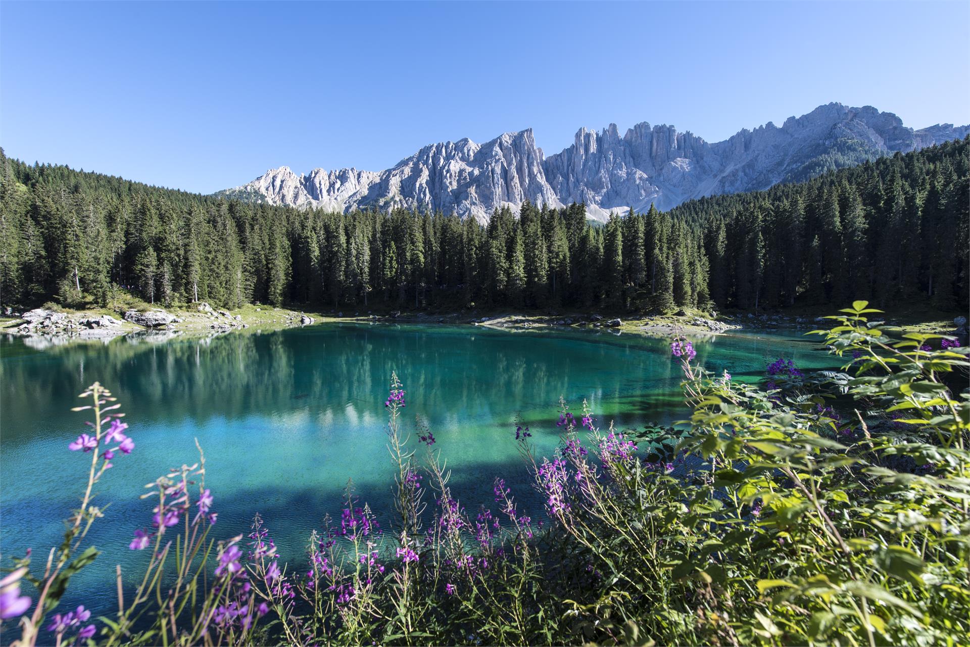 Trinkwasser Besucherzentrum Karer See Welschnofen 1 suedtirol.info