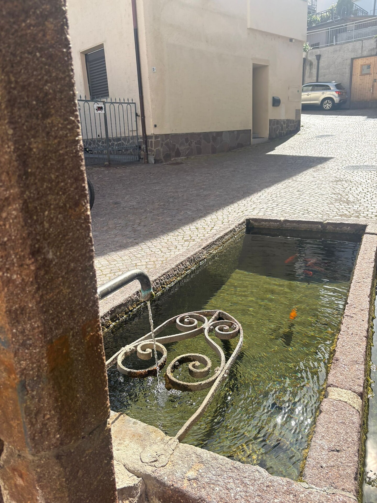 Fontana