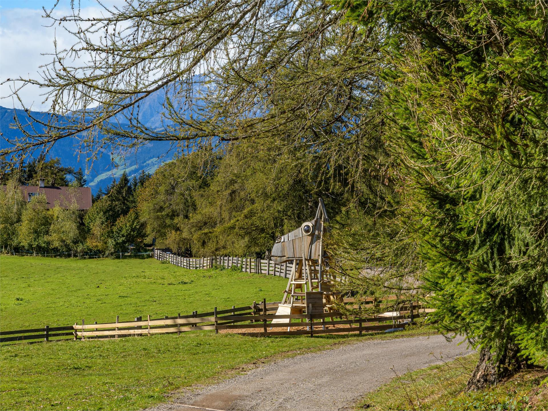 Tschaufen Meltina 1 suedtirol.info