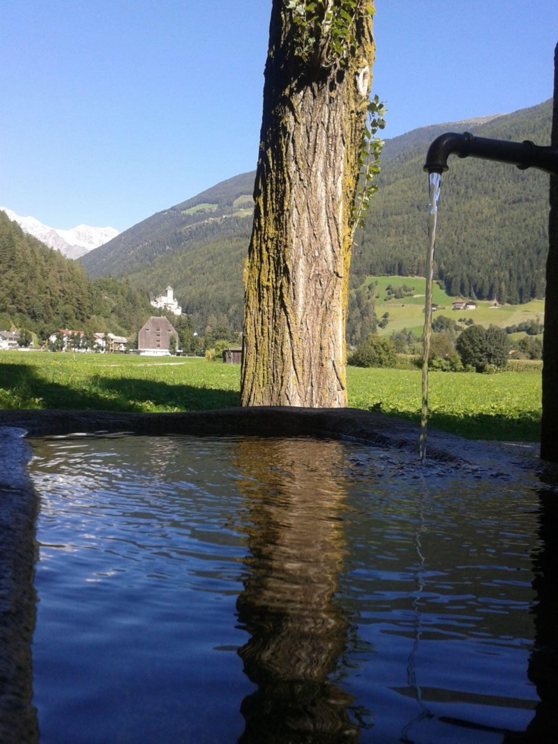 Drinking water fontain Chestnut tree Sand in Taufers/Campo Tures 1 suedtirol.info