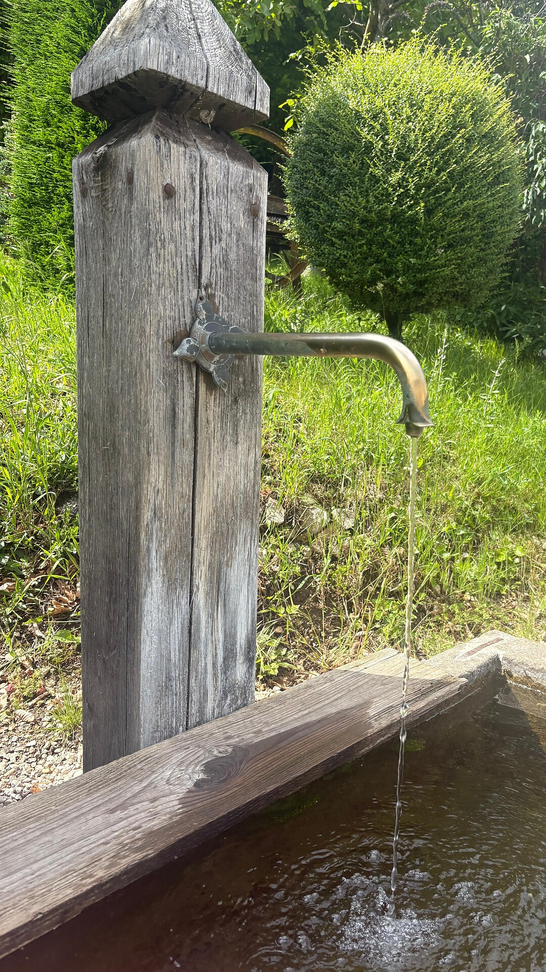 Altenburg_Richtung Waldschenke (1).jpeg