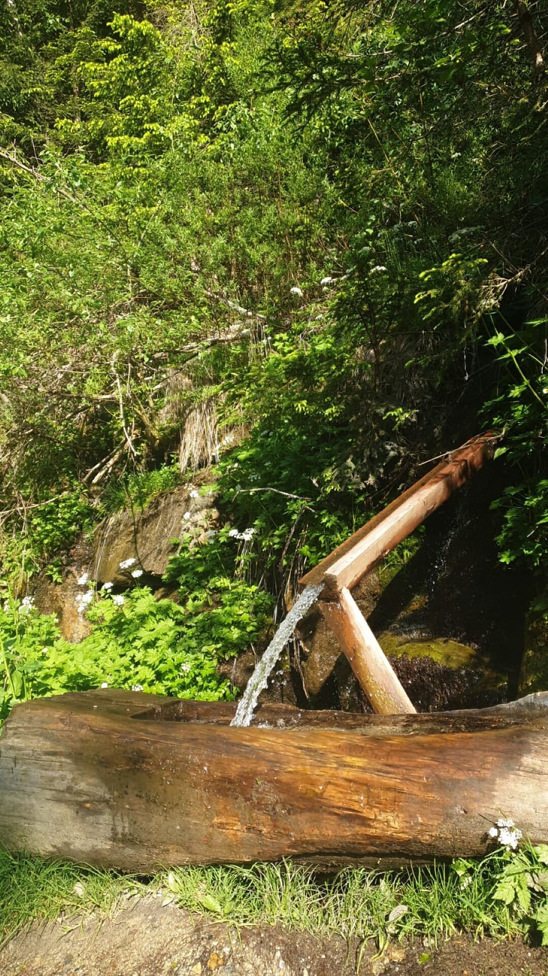 Fountain Schönberg/Monte Bello