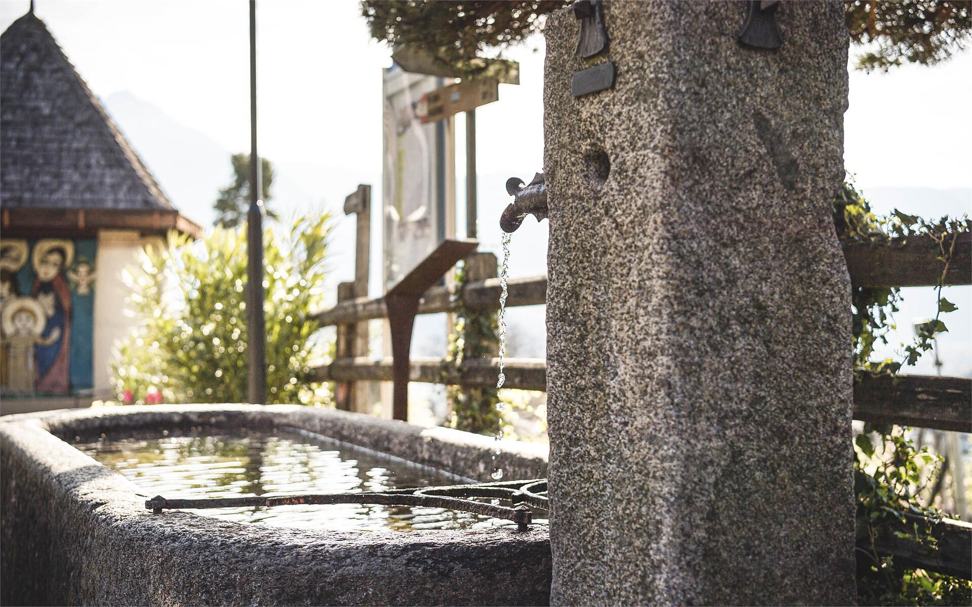Trinkbrunnen Platterhof Algund 3 suedtirol.info