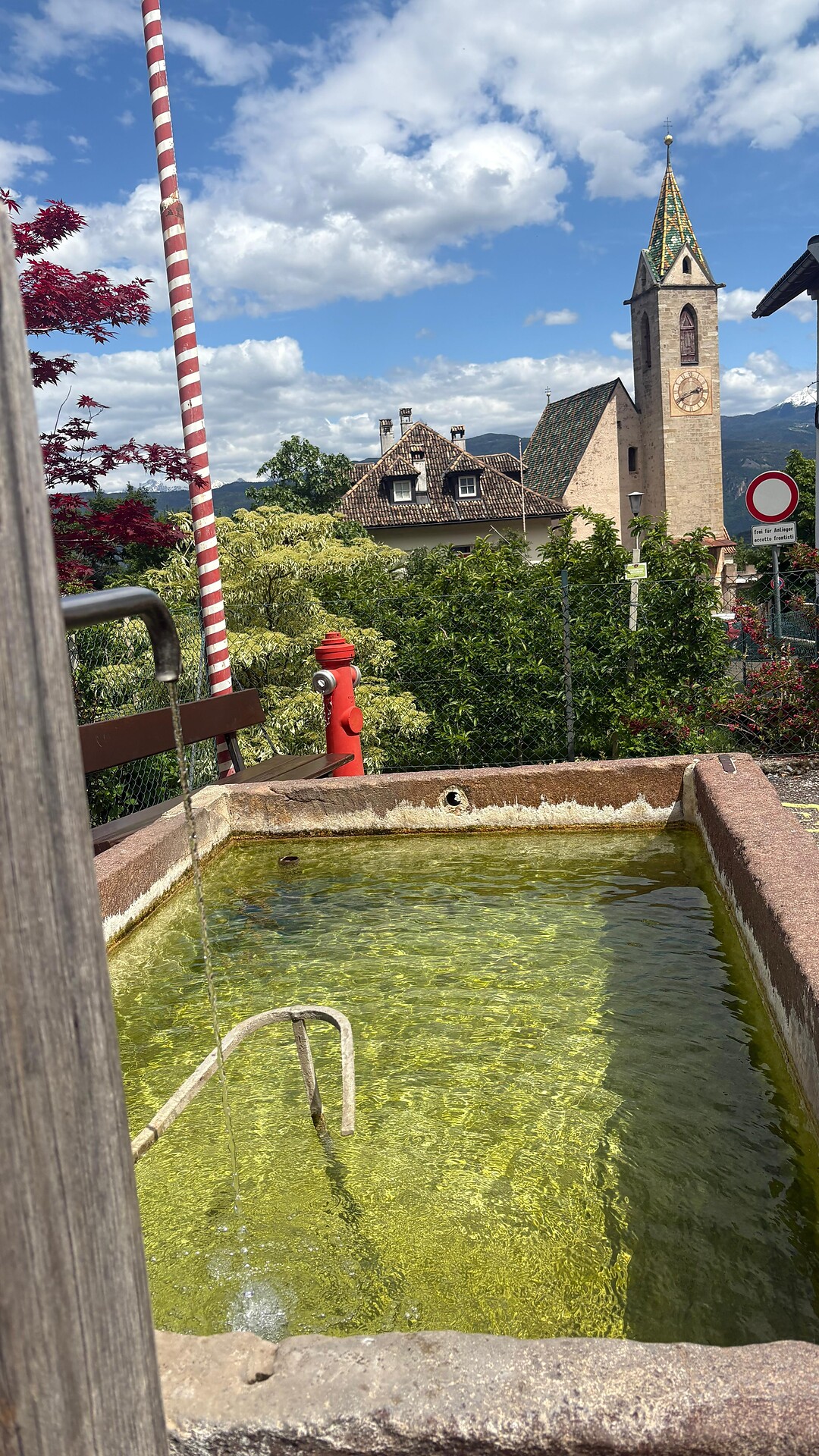 Altenburg_Widum (1).jpeg