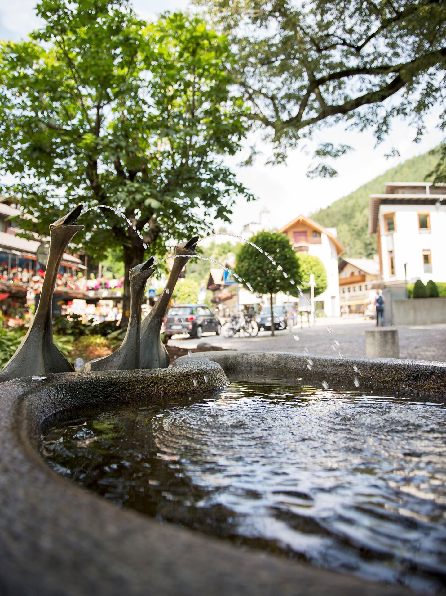 Fontana di acqua potabile Oche Campo Tures 1 suedtirol.info