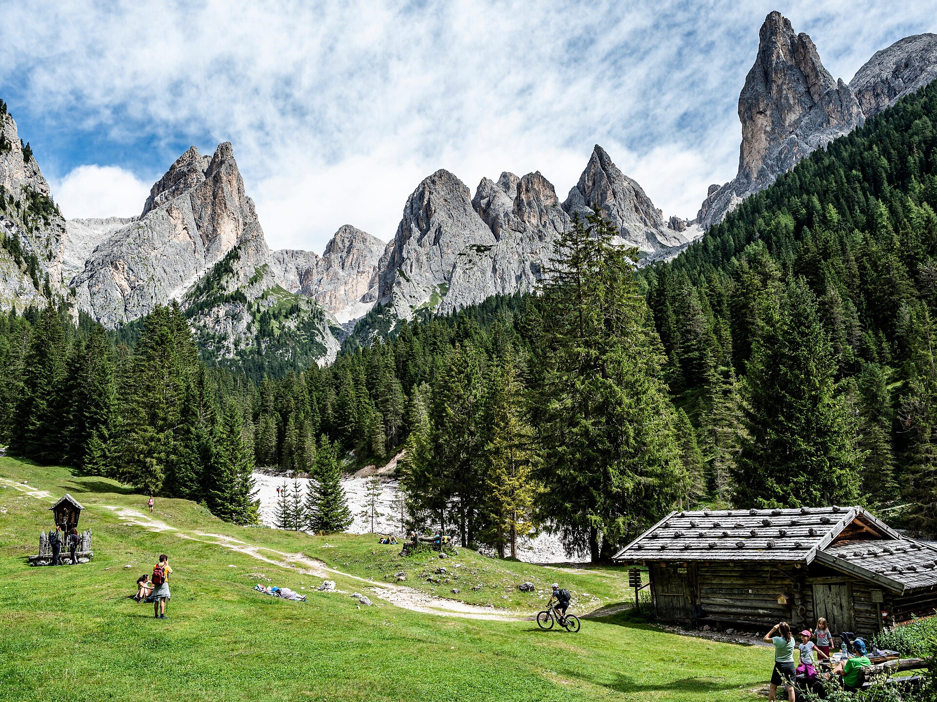 Val Ciamin - Regione dolomitica Alpe di Siusi - #2 - suedtirol.info