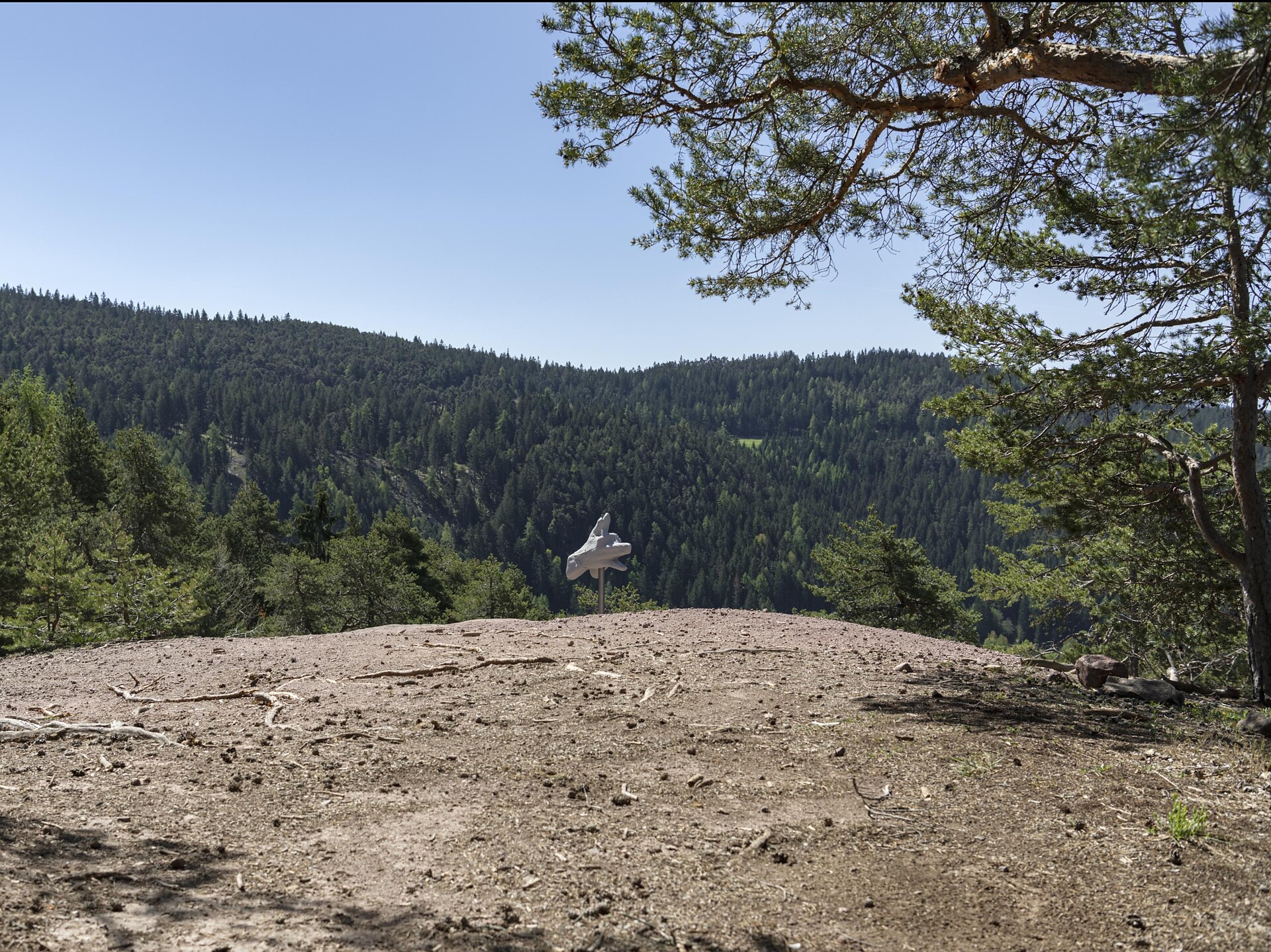 Idyllischer Platz am Timpfler Knott in Vöran