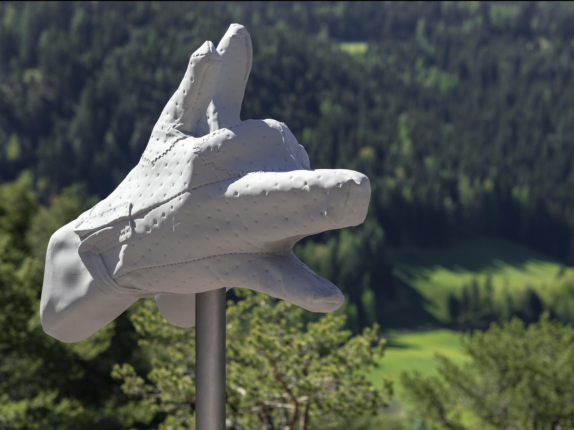 Wolf am Timpfler Knott in Vöran, Südtirol