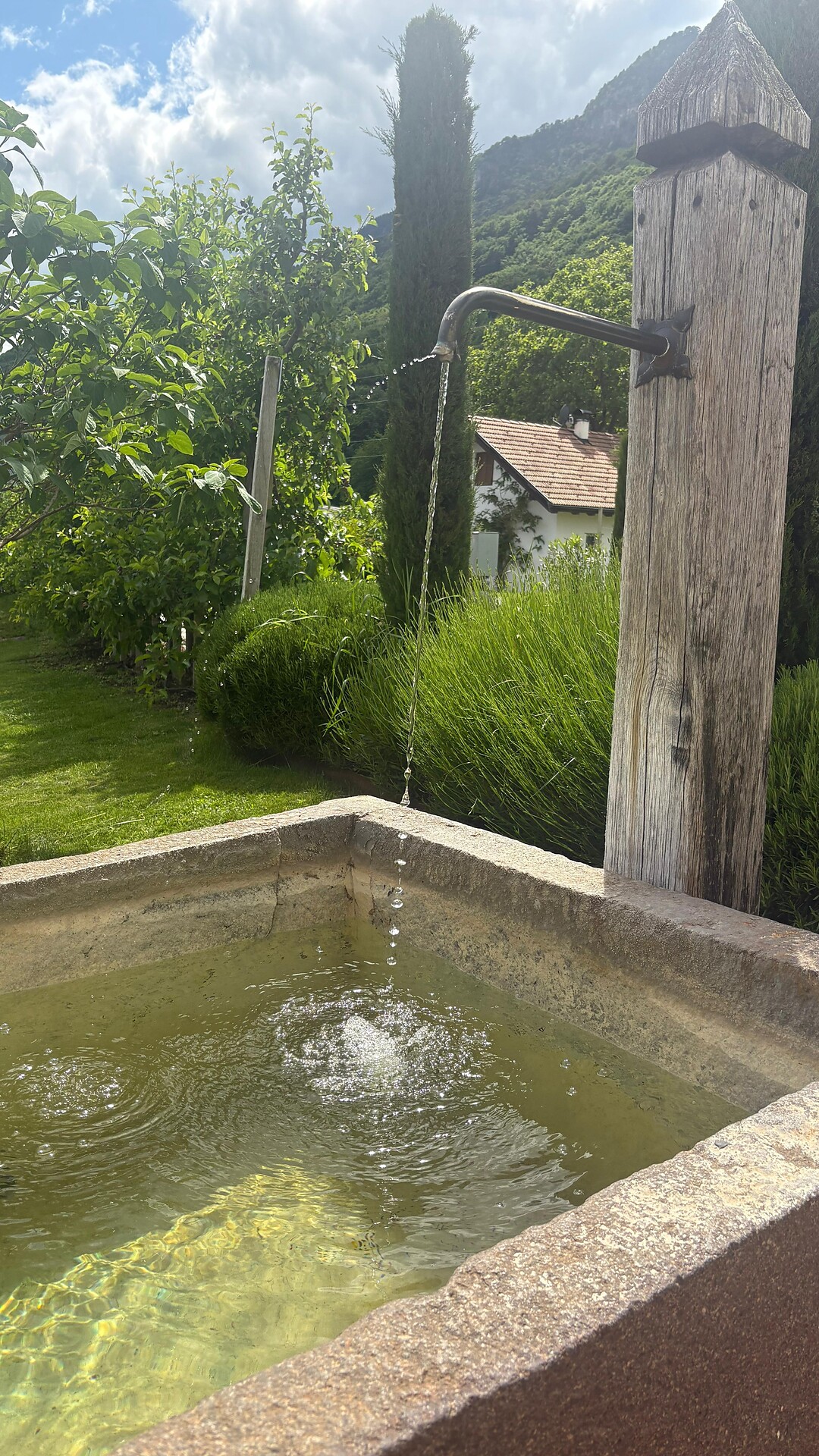 Altenburg_Haus Gschnell (1).jpeg