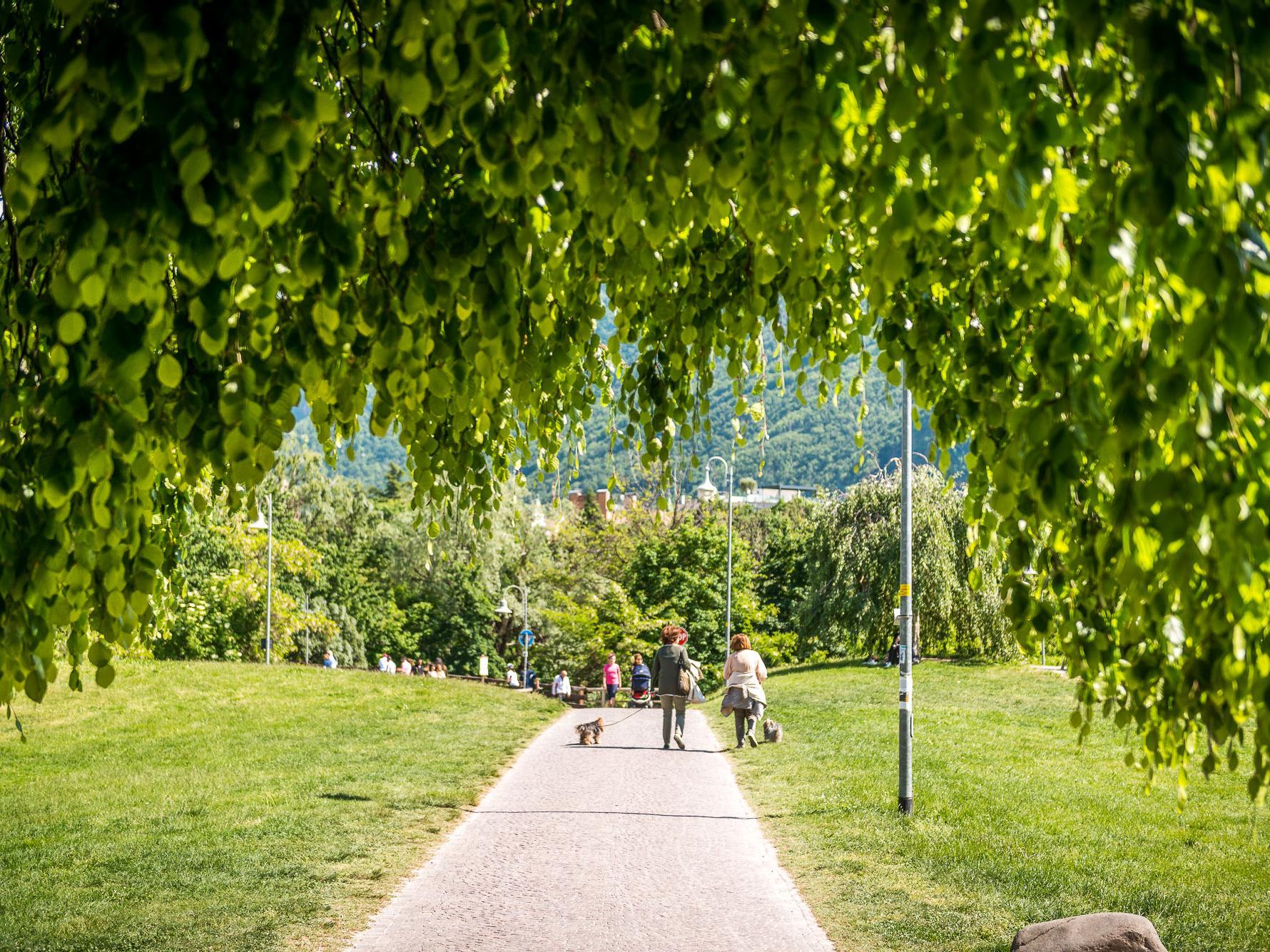 Talferpromenade Bozen 1 suedtirol.info