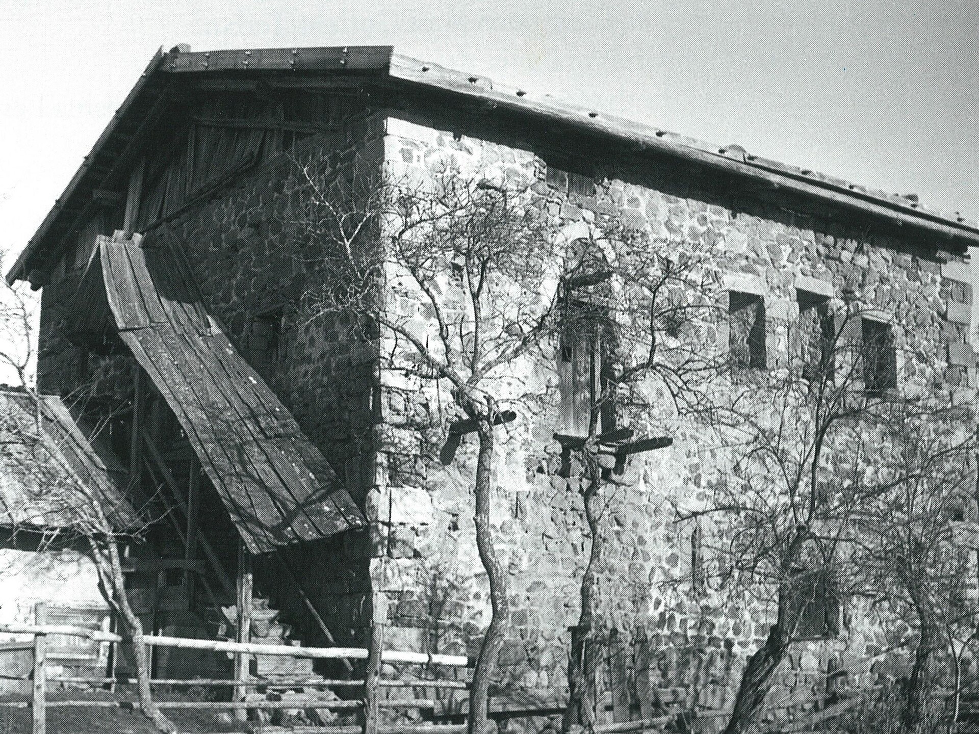 Tower at the Steifler court
