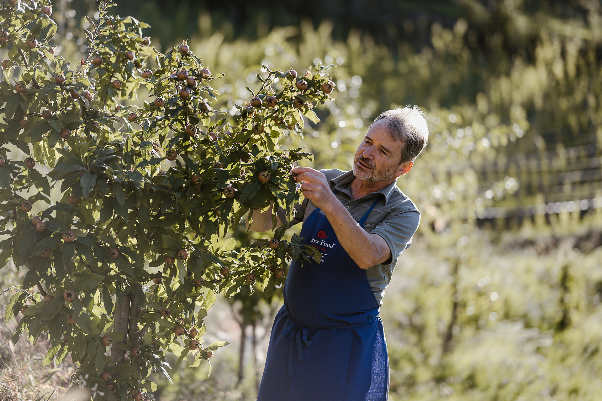 Obstbauer