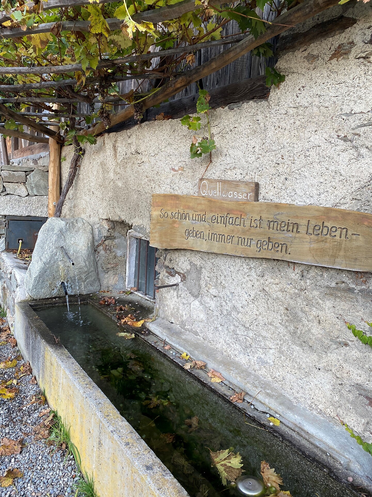 Brunnen Senn am Egg