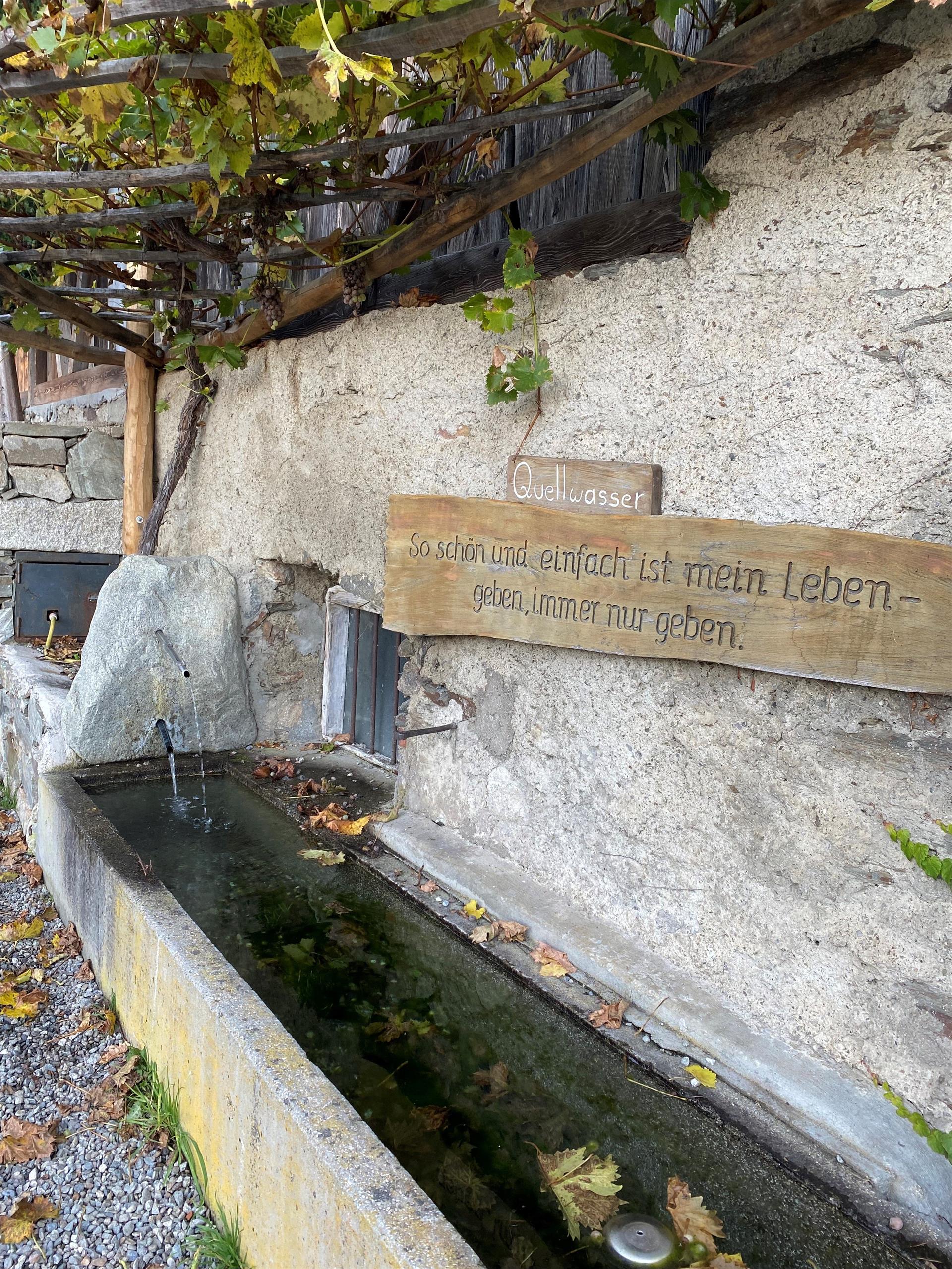 Trinkwasserbrunnen - Senn am Egg Marling Marling 1 suedtirol.info