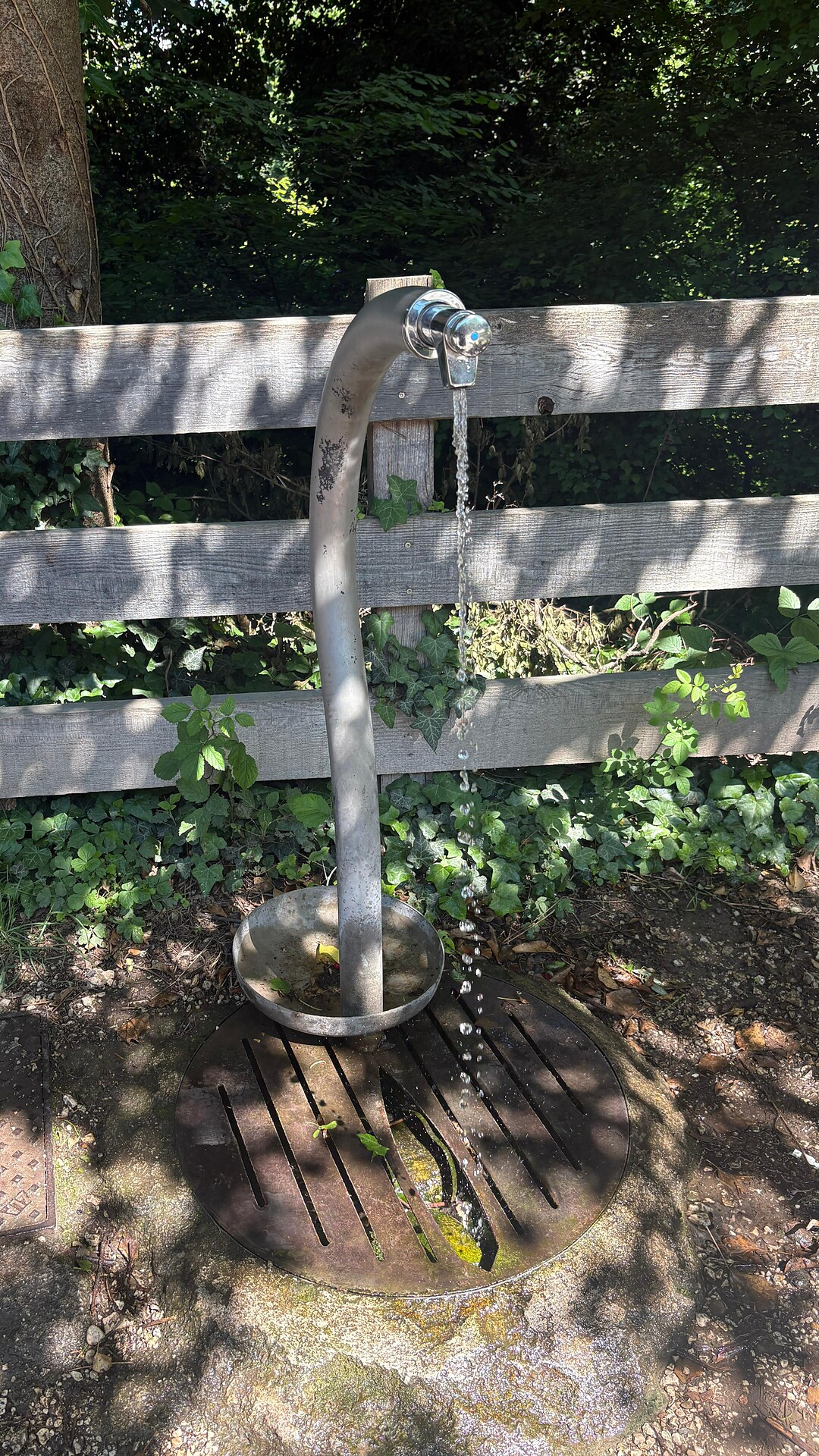 Unterplanitzing_Alte Lok