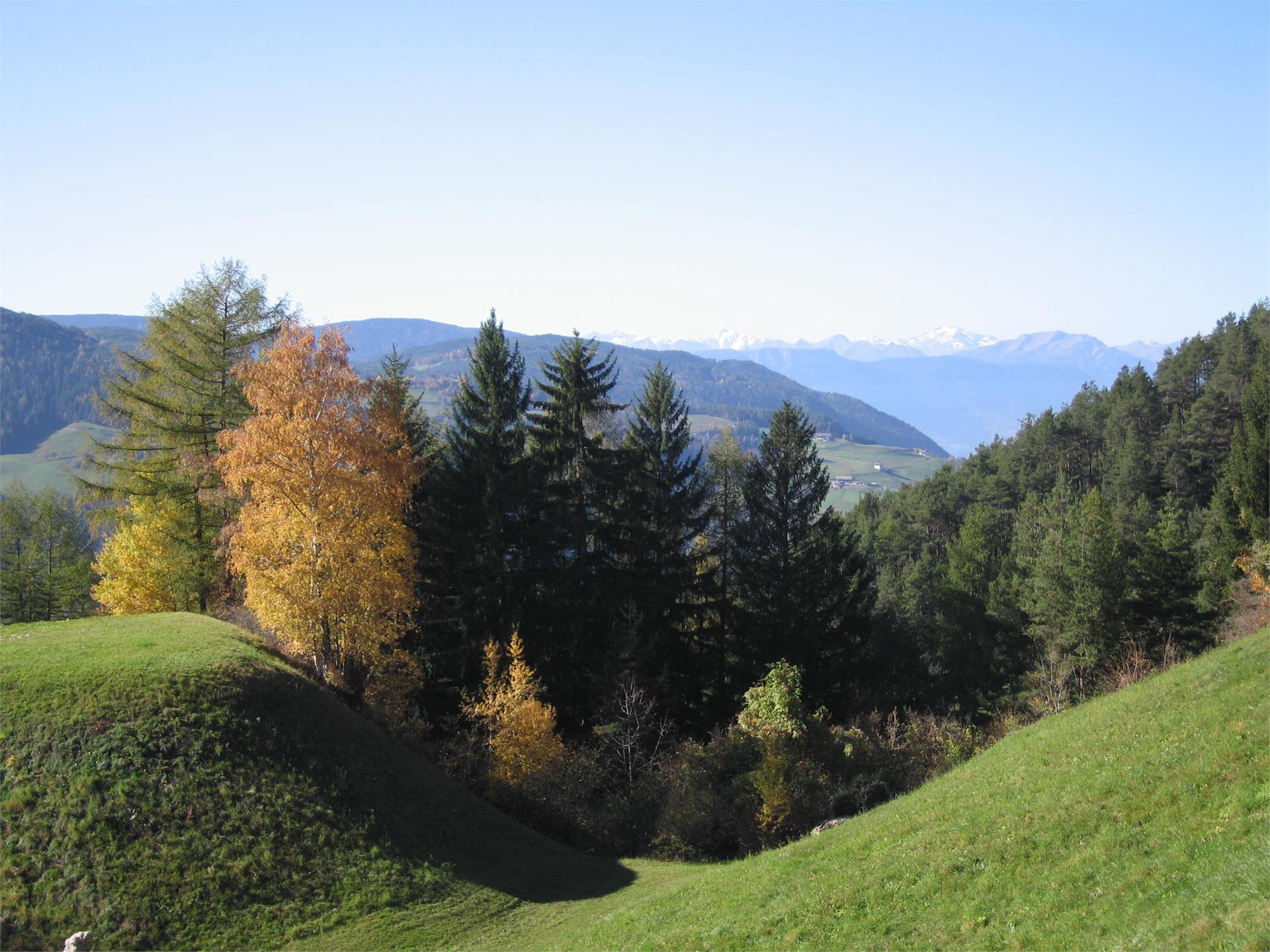 Thalerbühel Tires al Catinaccio 1 suedtirol.info