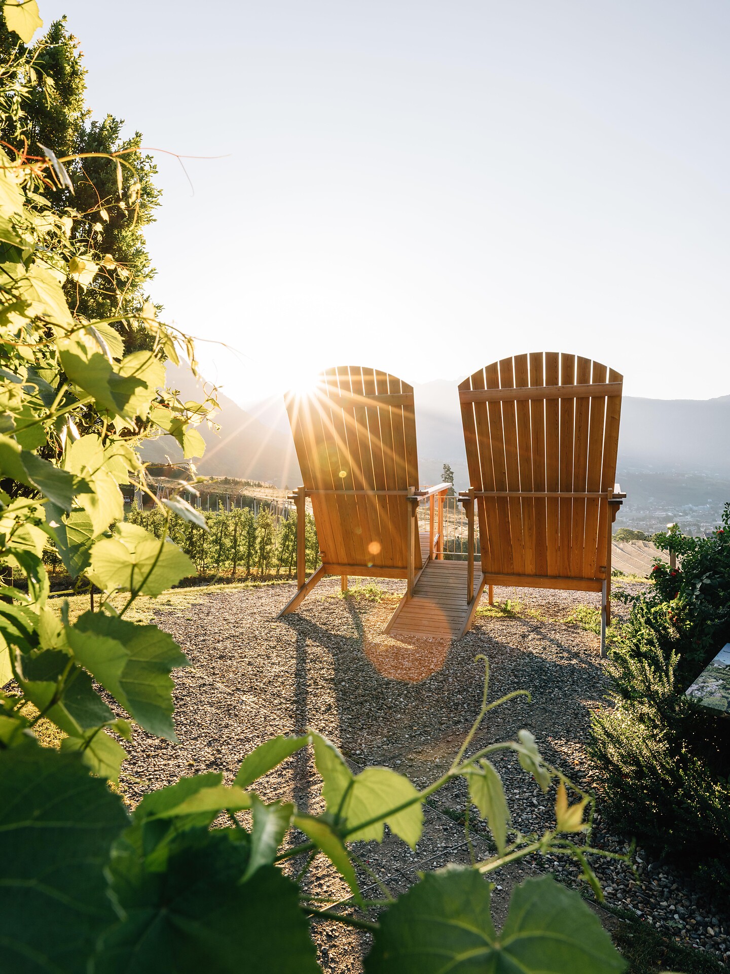 Trauttmansdorffer Thronsessel Etschradweg - Meran und Umgebung - #2 - suedtirol.info