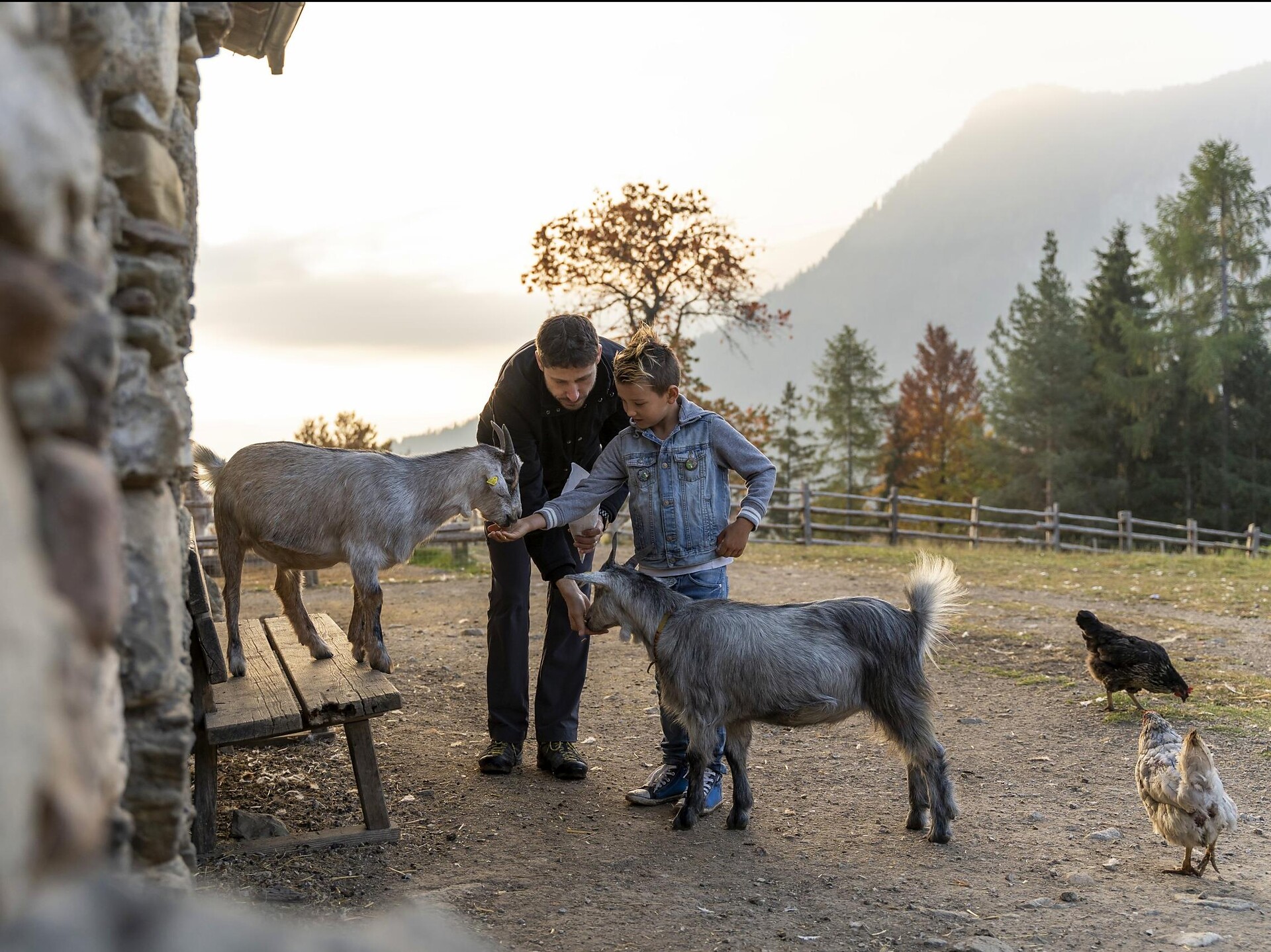 Tierwelt Rainguthof