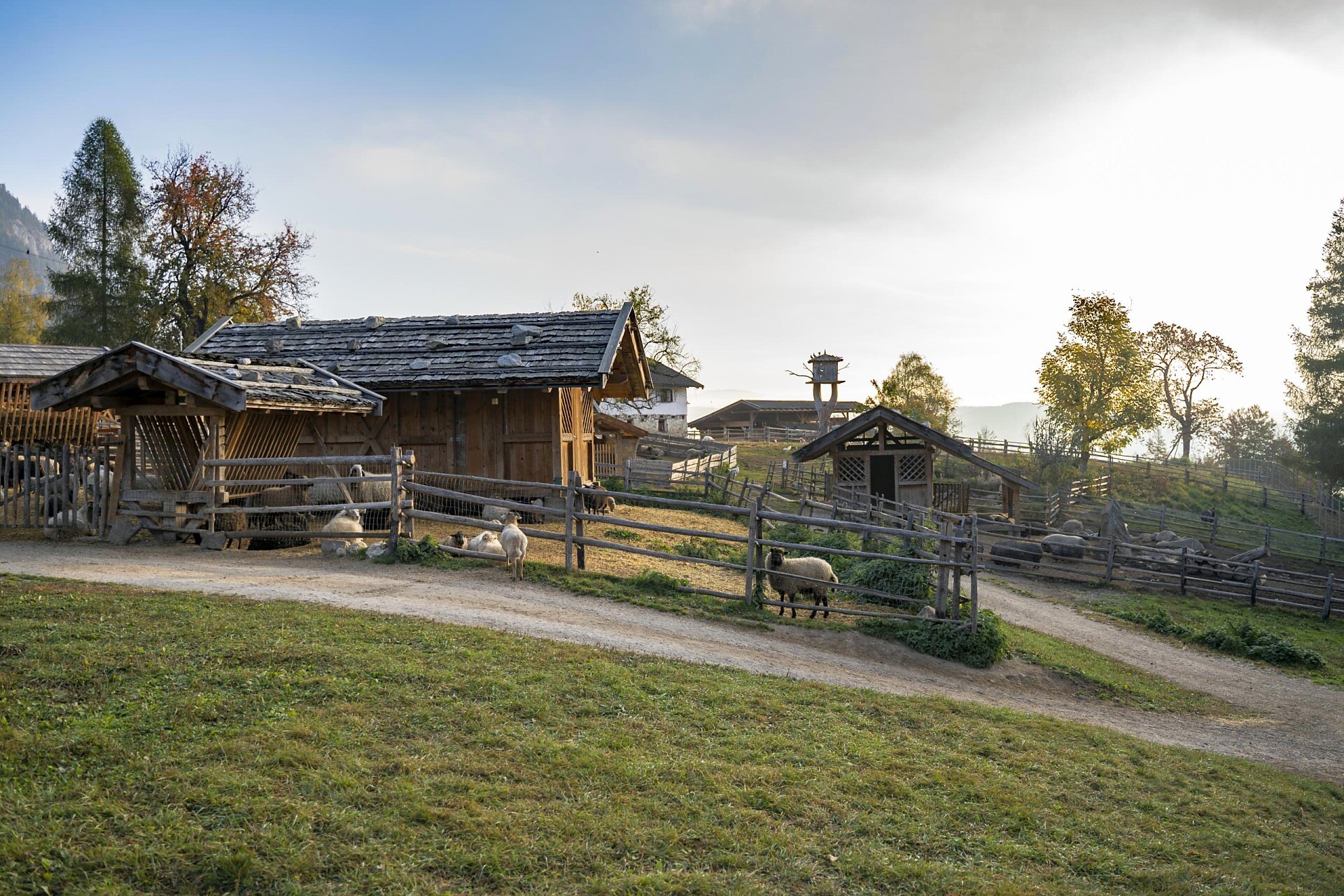 Tierwelt Rainguthof