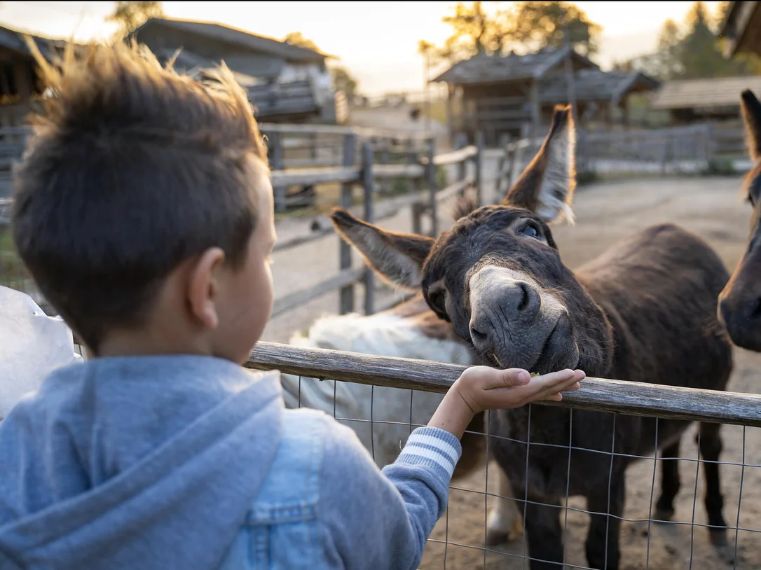 Animal World Rainguthof in Gfrill/Caprile