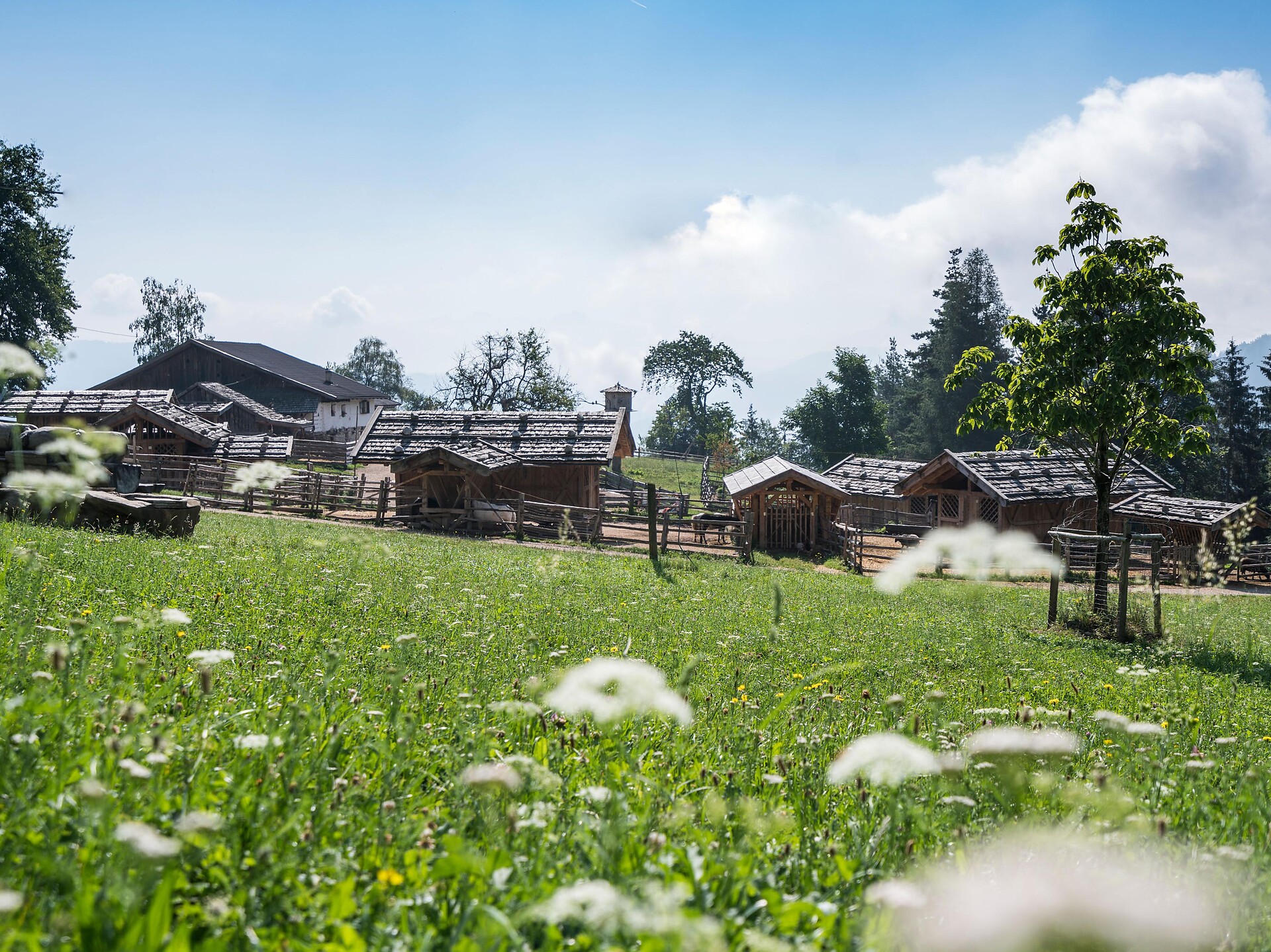 Tierwelt Rainguthof