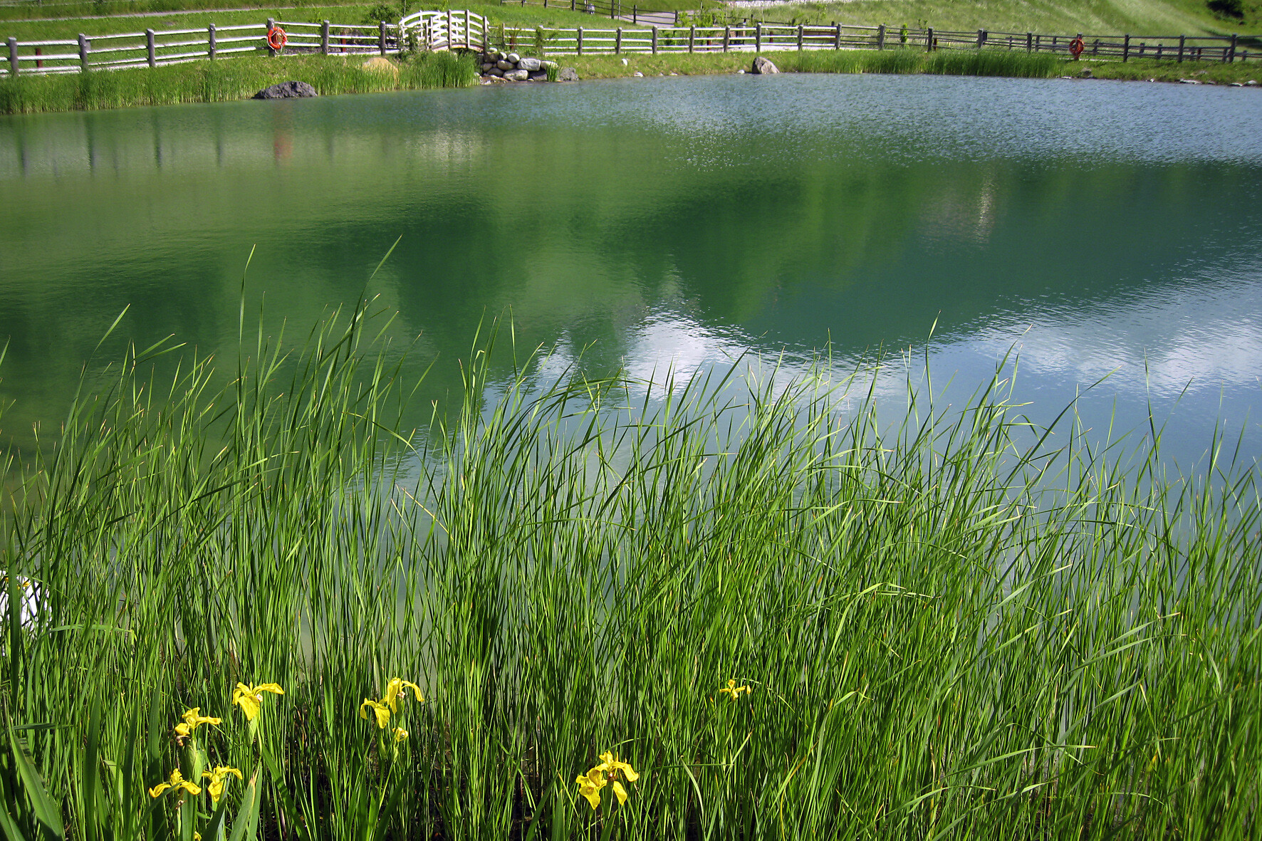 Teich "Mesner Låcke" Villnöss 2 suedtirol.info