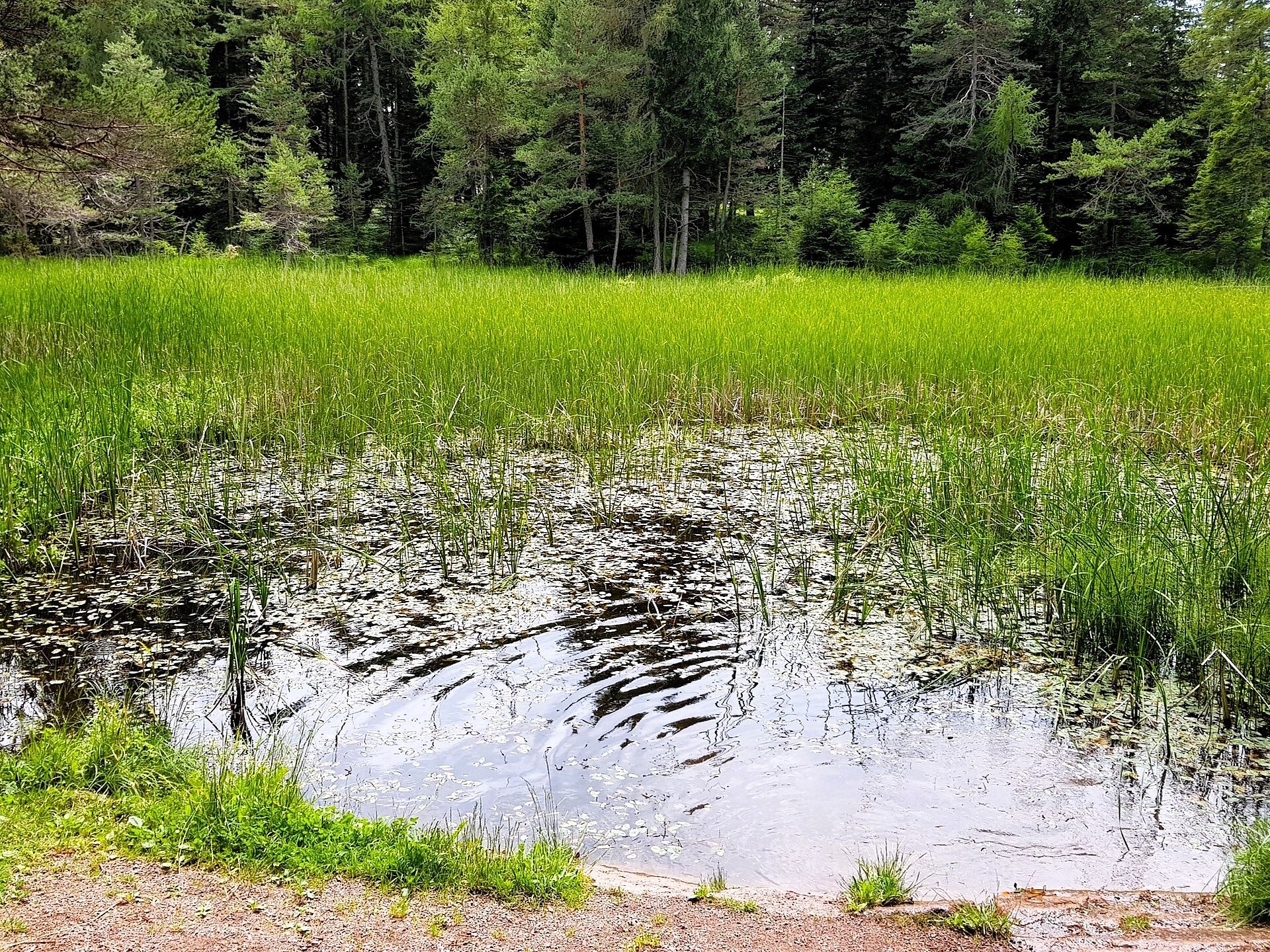 Tschaufer Weiher - Bolzano/Bozen and environs - #1 - suedtirol.info