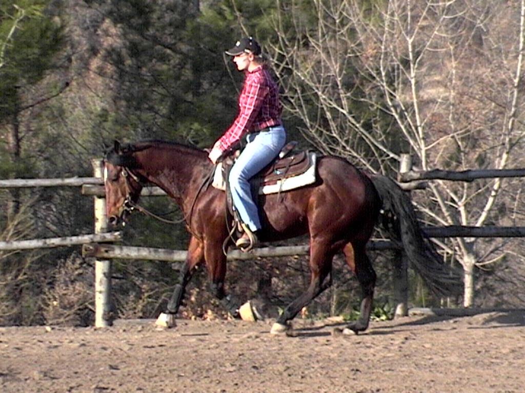 Oltradige riding club Eppan an der Weinstaße/Appiano sulla Strada del Vino 2 suedtirol.info