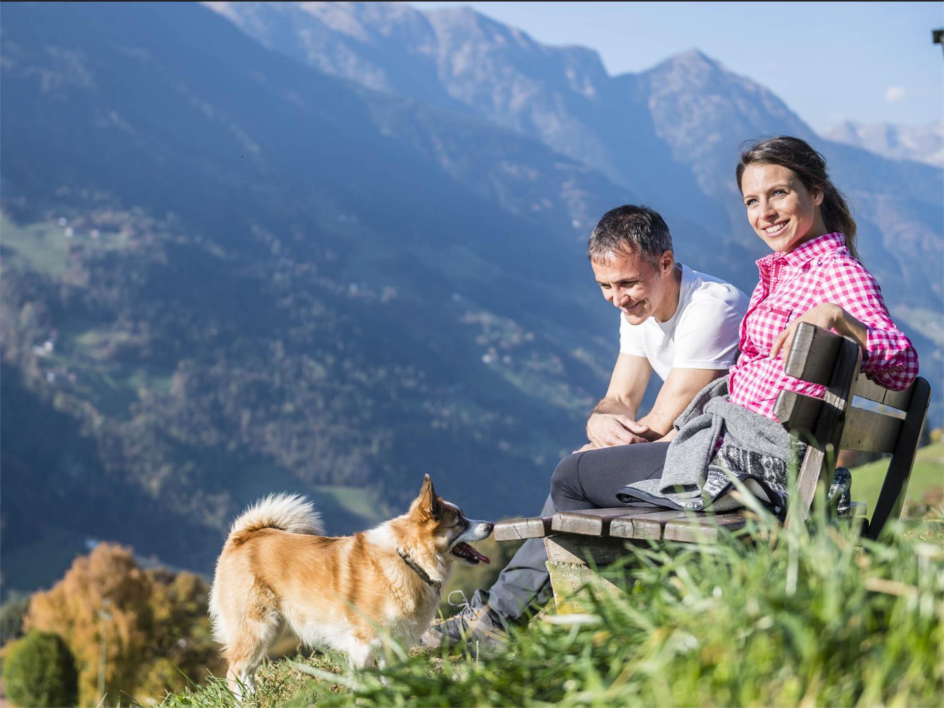 In vacanza col cane a Scena Scena 1 suedtirol.info