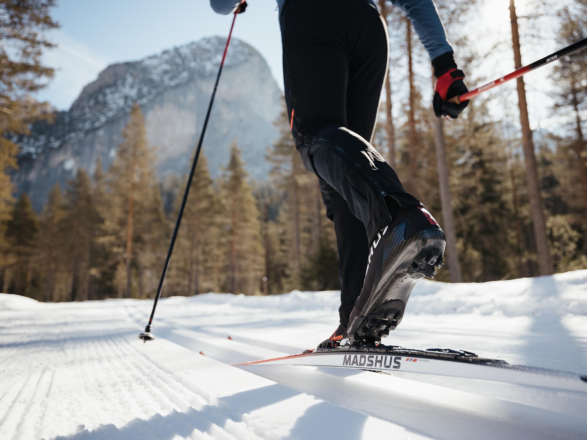 Rental Cross Country Ski School