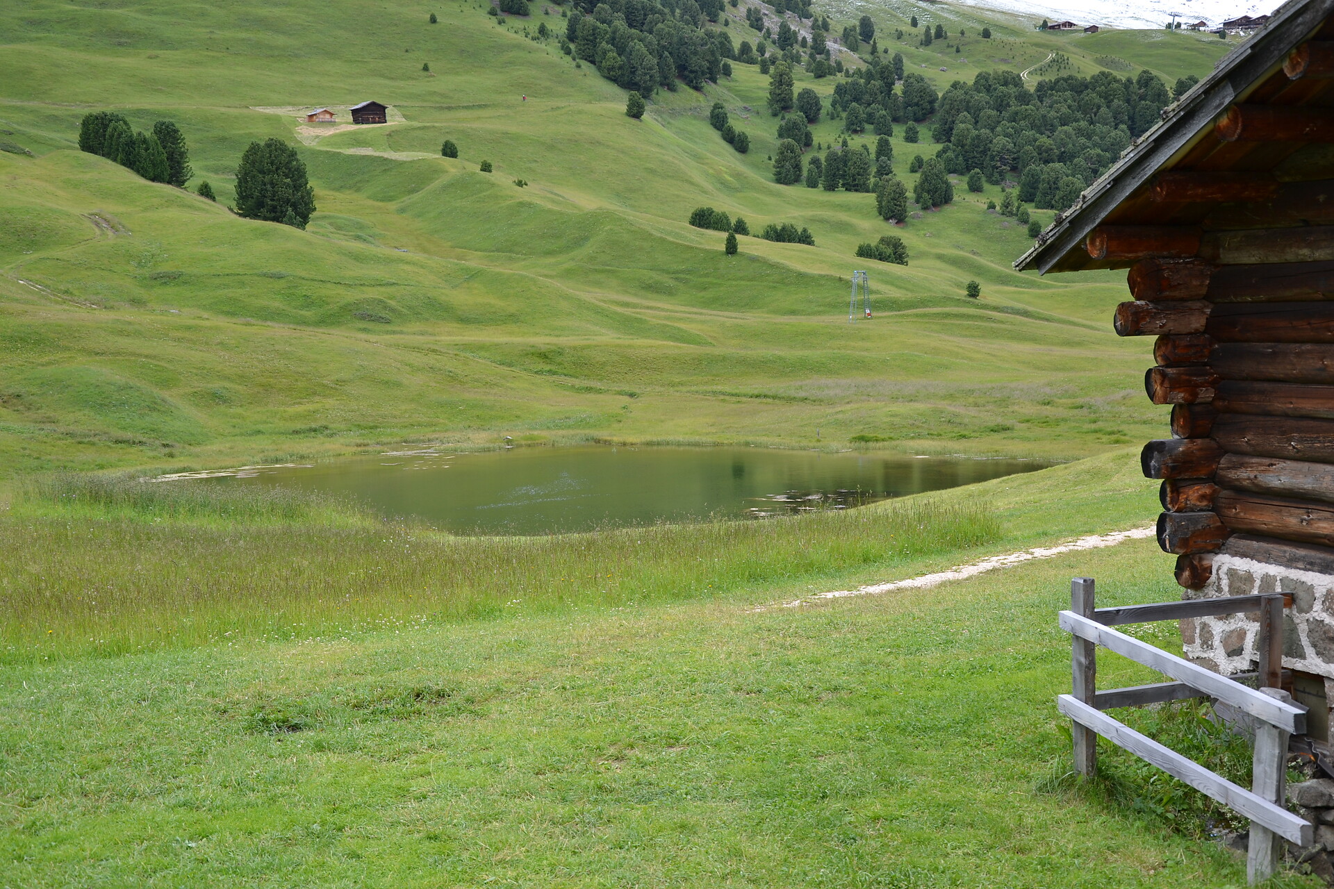Lech Sant