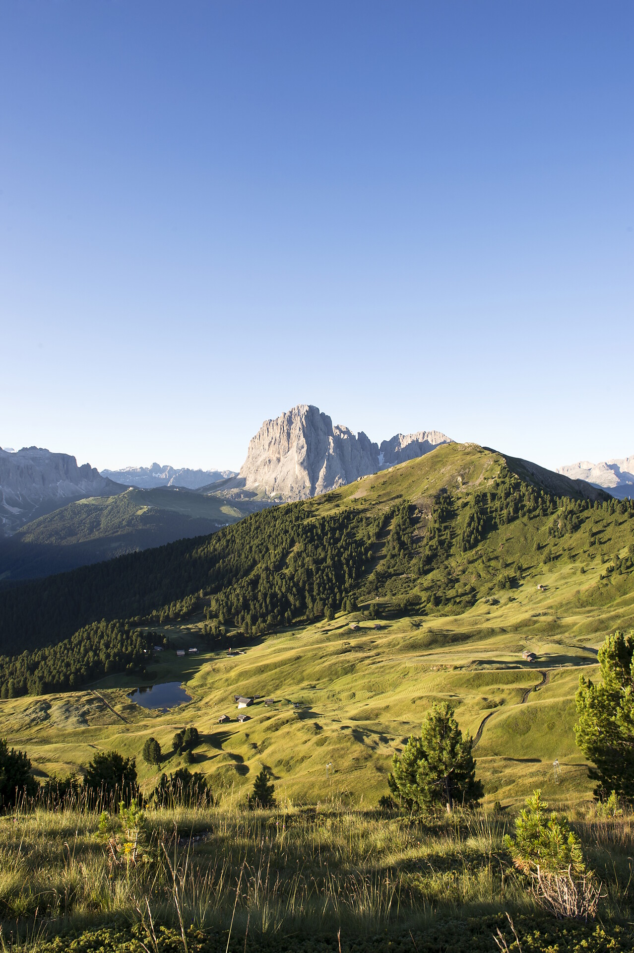 Lech Sant