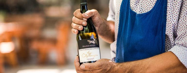 Tenuta Vitivinicola Haidenhof - Merano e dintorni - #1 - suedtirol.info