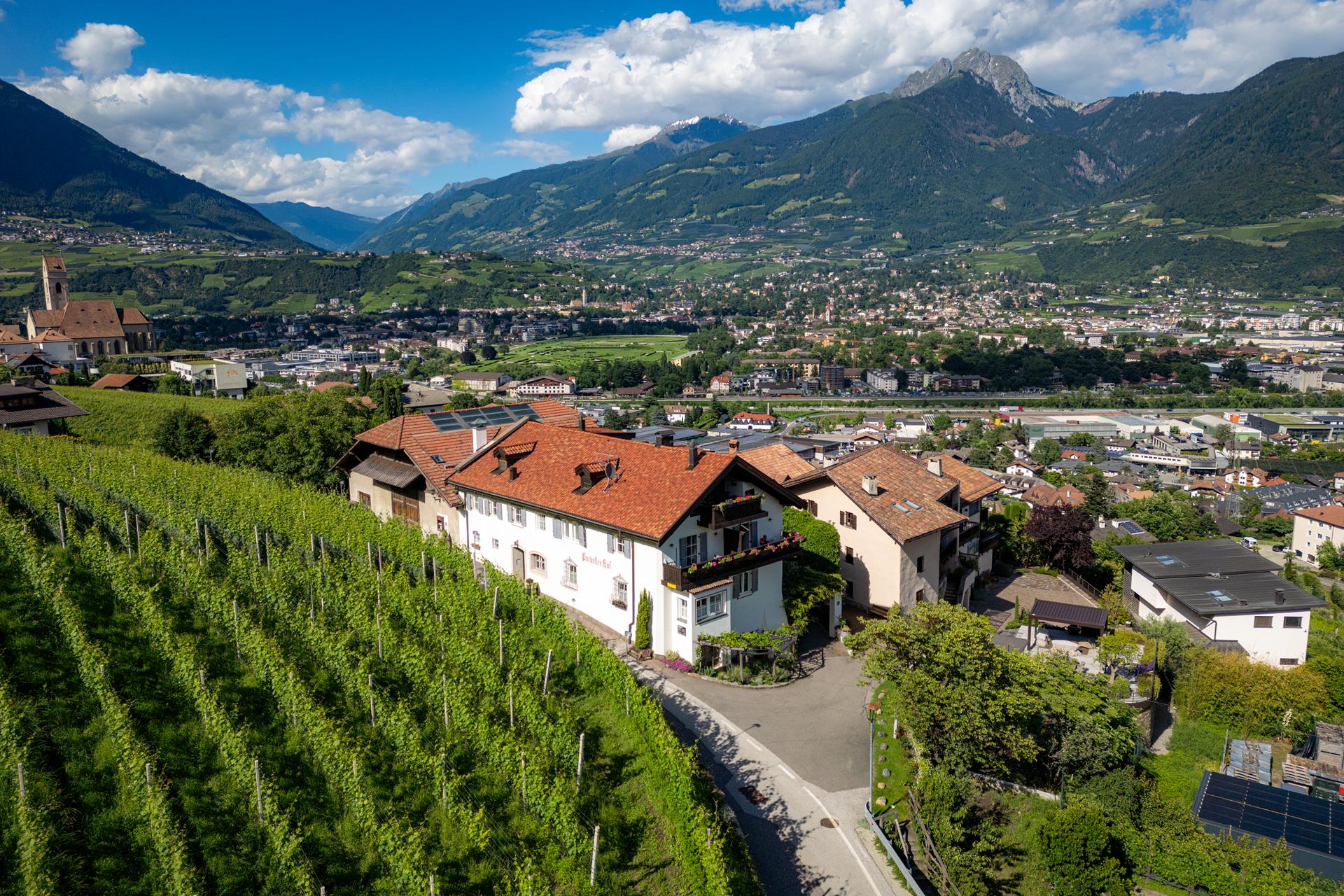 Weingut Pardellerhof - Merano e dintorni - #1 - suedtirol.info