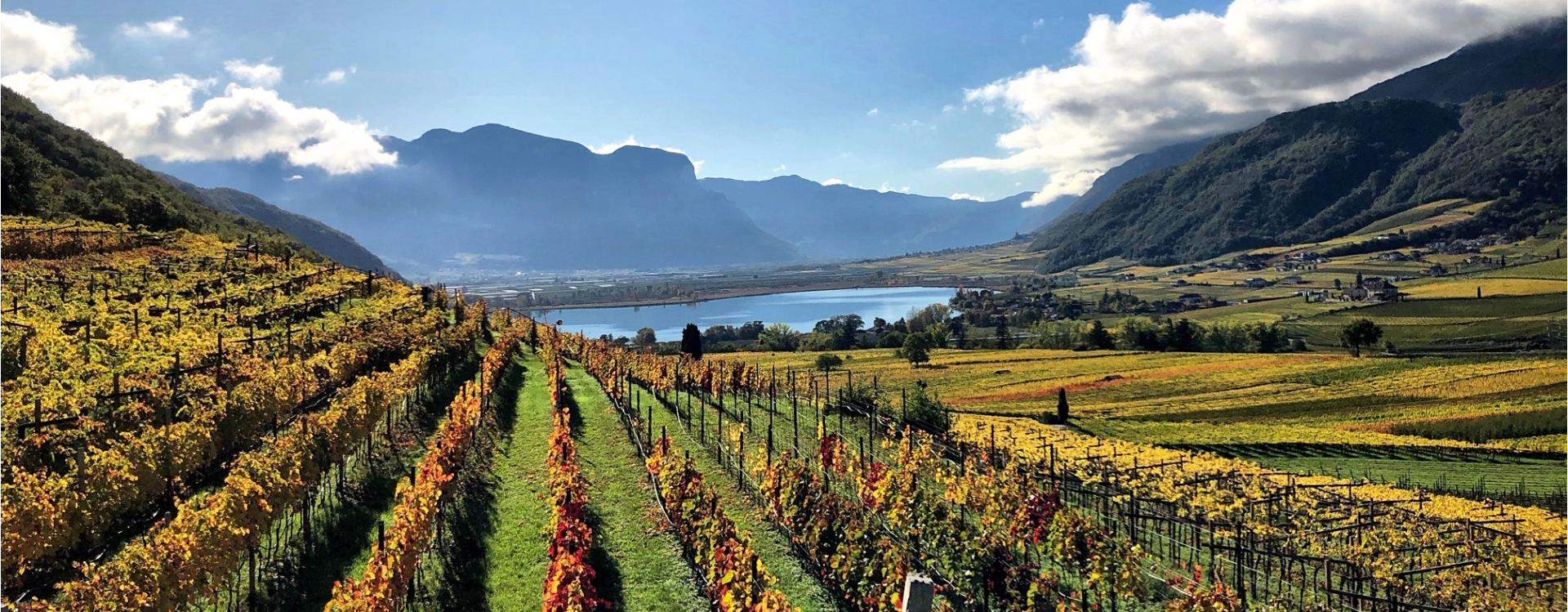 Winery T. Pichler - Alto Adige Wine Road - #1 - suedtirol.info