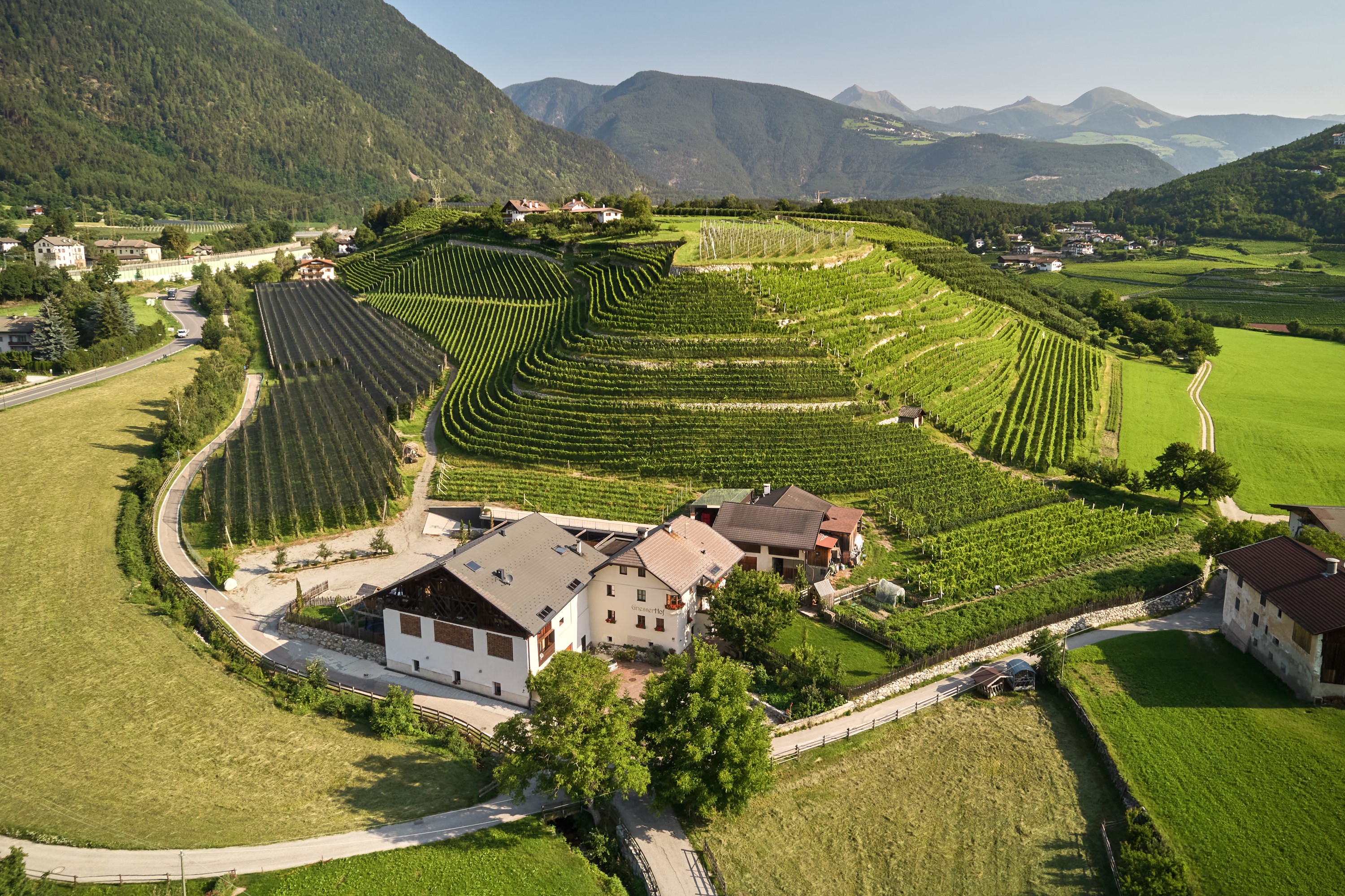 Griesserhof Winery - Brixen/Bressanone and environs - #1 - suedtirol.info