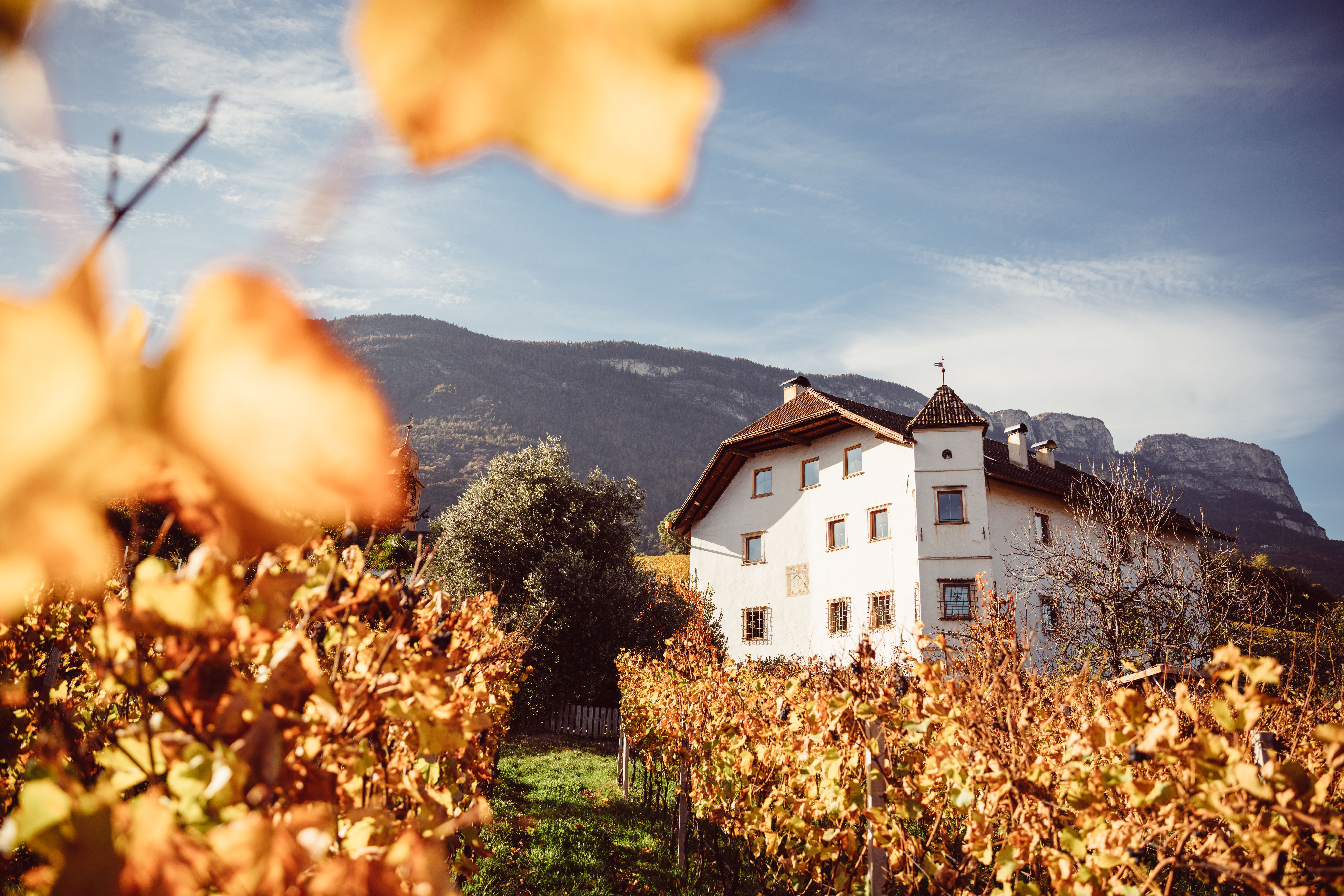Tenuta Von Payr - Alto Adige Wine Road - #1 - suedtirol.info