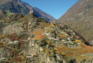Winery & Distillery Unterortl - Castel Juval - Meran/Merano and environs - #1 - suedtirol.info