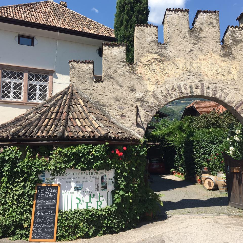Weingut St. Peter - Meran und Umgebung - #1 - suedtirol.info