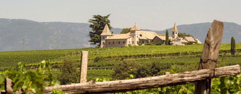 Vineyard Kreithof - Alto Adige Wine Road - #1 - suedtirol.info