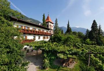 Biedermannhof Winery - Meran/Merano and environs - #1 - suedtirol.info